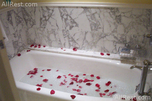 Ritz-Carlton Golf & Spa Resort 44